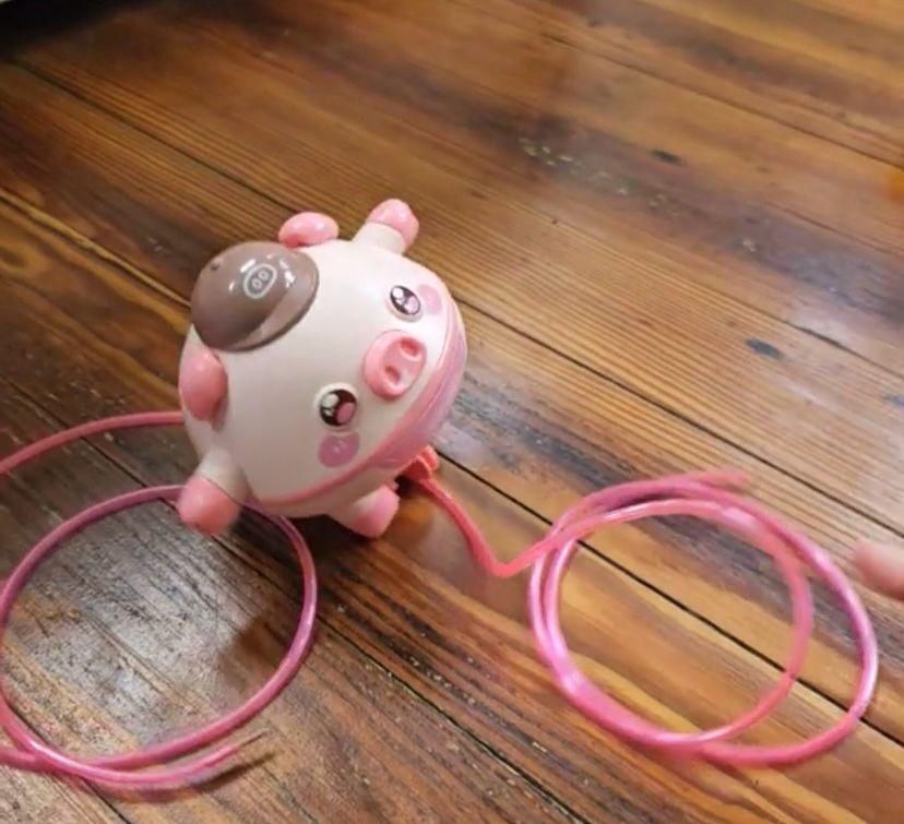 Tumbler Pig Walking Tightrope